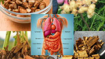 The Miracle Blend Hidden in Nature: Could This Simple Drink Revolutionize Your Health Forever?