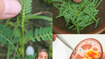Banana Blossoms Unveiled: 17 Astonishing Benefits to Transform Your Health as You Age