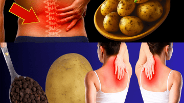 Unlock the Secret Power of Moringa Leaves: 14 Life-Changing Benefits Your Doctor Won’t Tell You About! 🌿