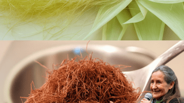 Unlock Pain-Free Living: The Surprising Power of Garlic and Black Pepper
