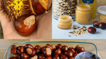 Unlock the Secret to Reversing Diabetes, Fatty Liver, and Joint Pain with This Ancient Herbal Elixir