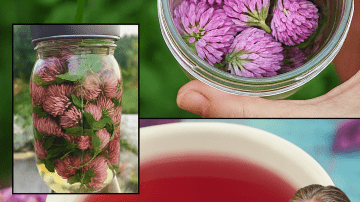 Unlock the Secret to Reversing Diabetes, Fatty Liver, and Joint Pain with This Ancient Herbal Elixir